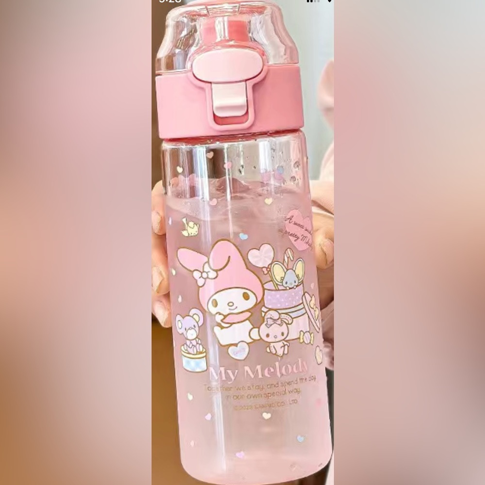 Sanrio water bottle